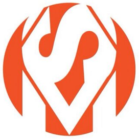 MSV Consulting
